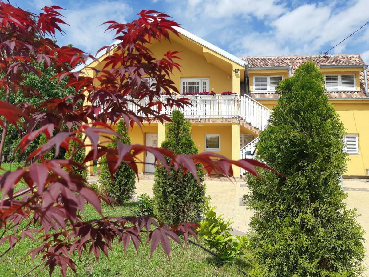 Golden House Apartments Čačak Buitenkant foto